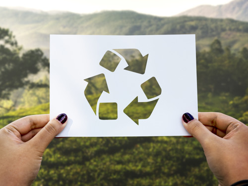 3 Ways To Make Your Print More Sustainable.