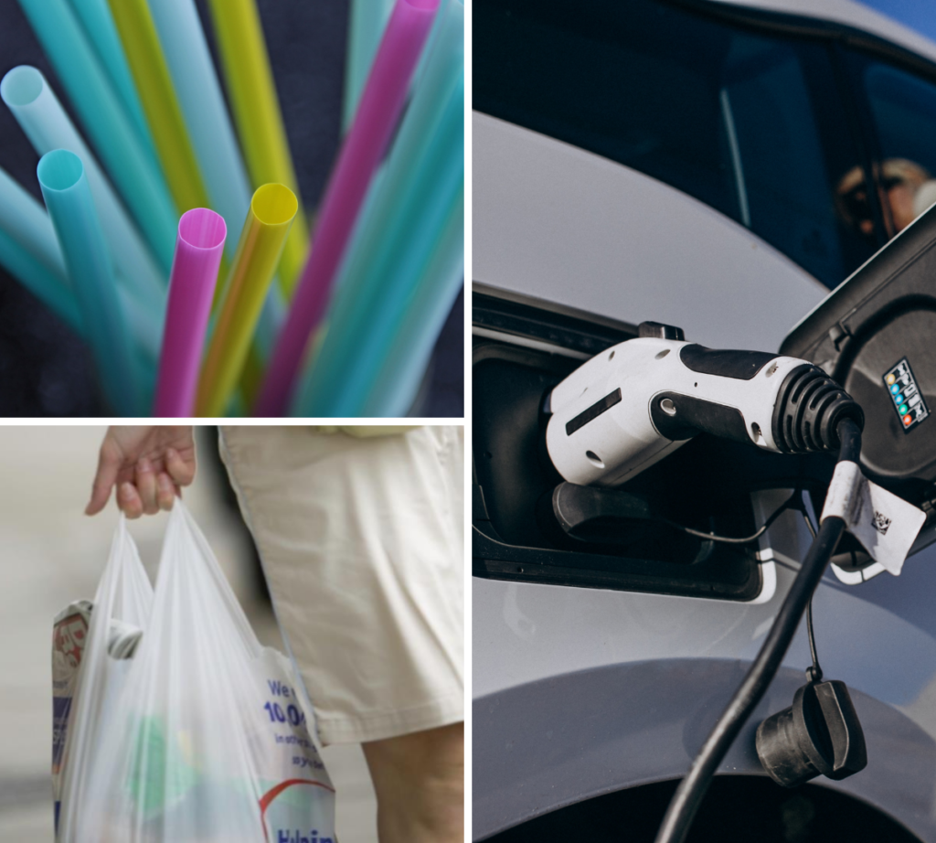 Plastic Straws, Plastic Bags, Electric Cars